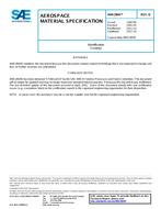 SAE AMS2804D PDF