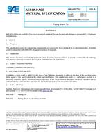 SAE AMS2451/12A PDF