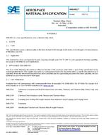 SAE AMS6951 PDF
