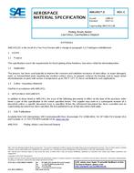 SAE AMS2451/3C PDF
