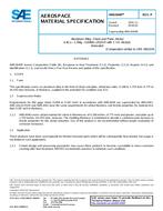 SAE AMS4040P PDF