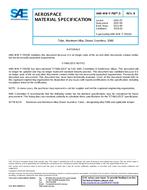 SAE AMSWWT700/5B PDF