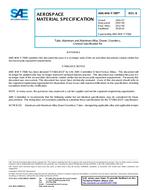 SAE AMSWWT700B PDF