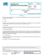 SAE AMS7731D PDF