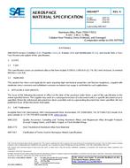 SAE AMS4407A PDF