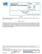 SAE AMS4820F PDF