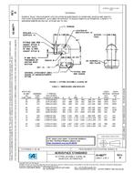 SAE AS4807D PDF