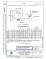 SAE AS14101E PDF