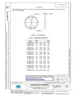 SAE AS1895/23A PDF