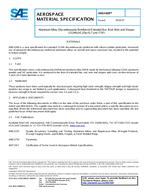 SAE AMS4369 PDF