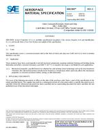 SAE AMS5905C PDF