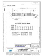 SAE AS4800C PDF