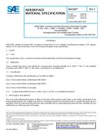 SAE AMS5383F PDF