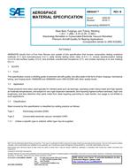 SAE AMS6497B PDF