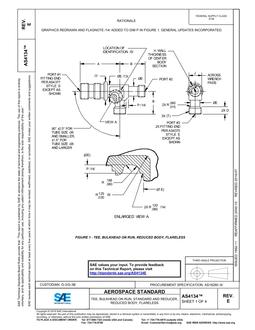 SAE AS4134E PDF