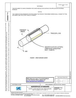 SAE AS60491/1 PDF