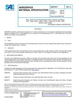 SAE AMS5769G PDF
