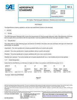 SAE AS5419A PDF