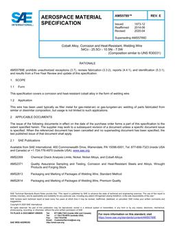 SAE AMS5789E PDF
