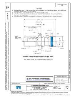 SAE AS5791B PDF