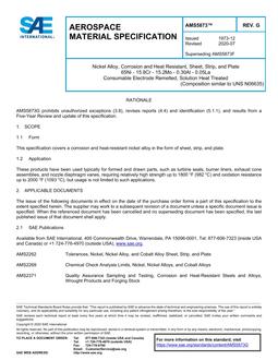 SAE AMS5873G PDF