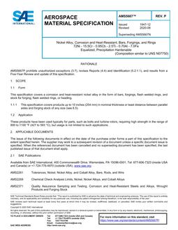 SAE AMS5667P PDF
