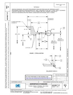 SAE AS1895/17B PDF