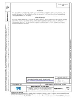 SAE AS81969/43B PDF
