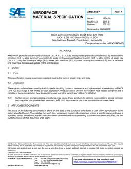 SAE AMS5863F PDF