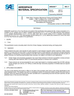 SAE AMS6409F PDF