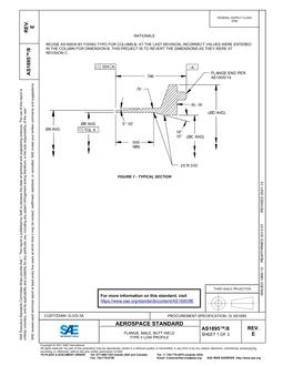 SAE AS1895/8E PDF