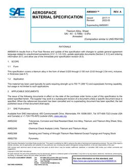 SAE AMS6951A PDF