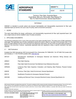 SAE AS8438/1 PDF