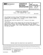 SAE AMS4424K PDF