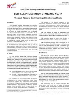 SSPC SP 17 PDF